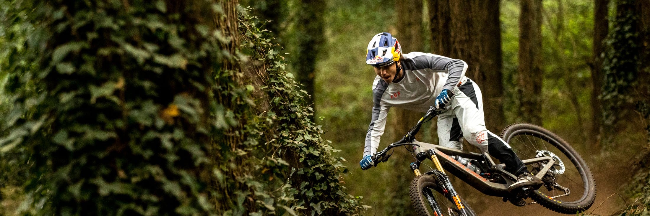 Mountain Bikes