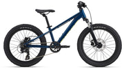 Giant STP 20"