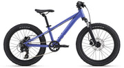 Liv STP 20"
