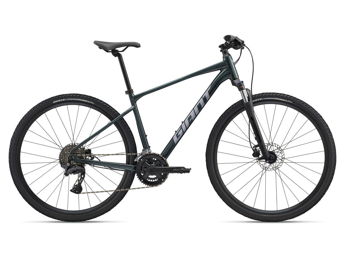 Giant Roam 2