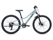 Liv Tempt 24" Disc