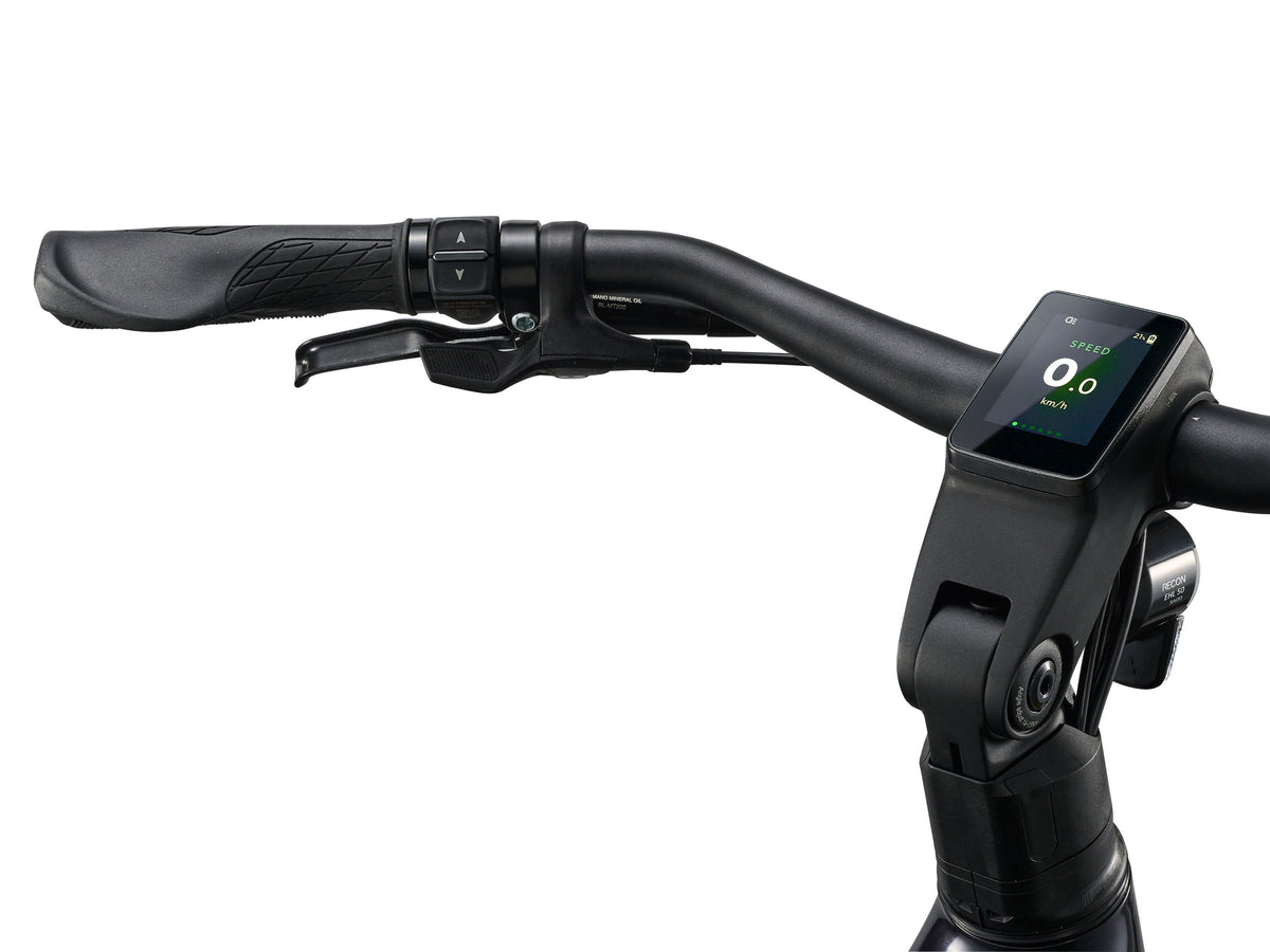 Giant AnyTour E+ 4