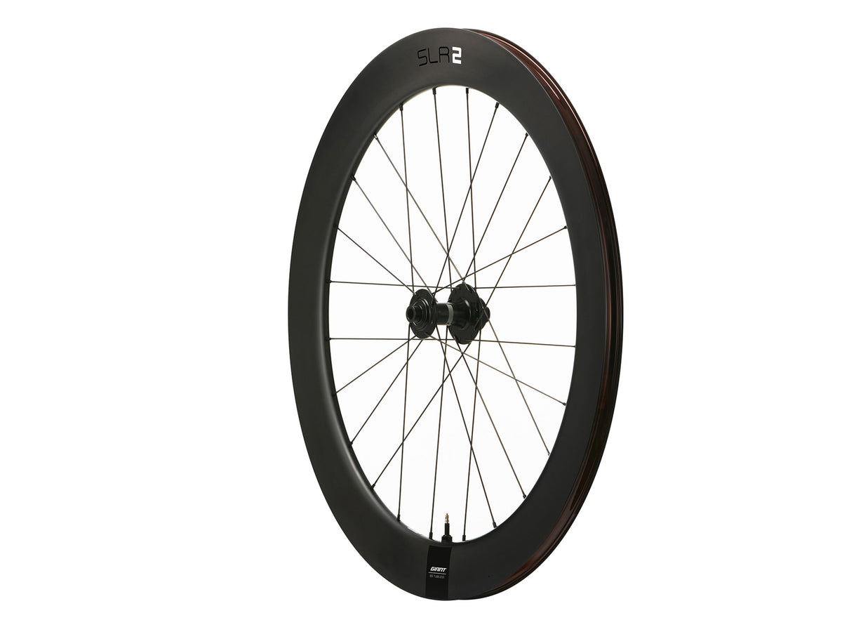 Giant SLR 2 65 Disc
