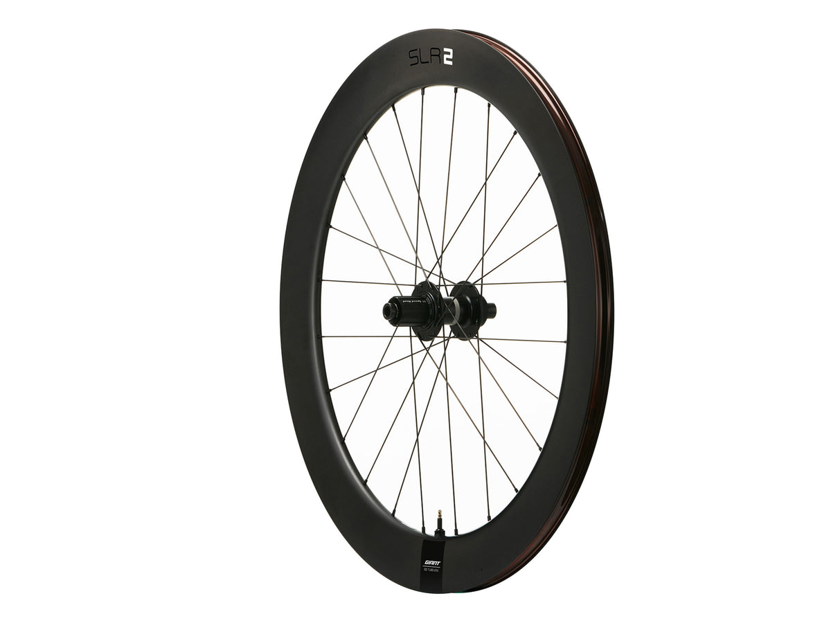 Giant SLR 2 65 Disc