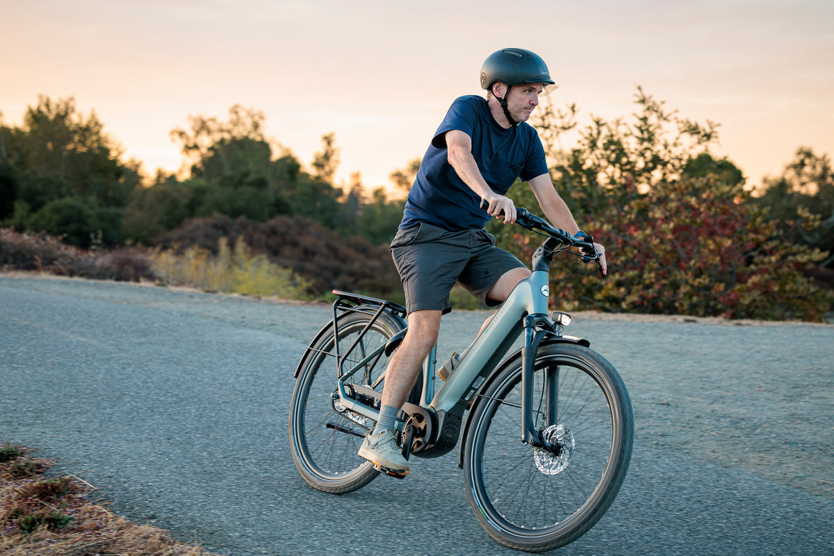 Gazelle Bicycles Ultimate C380 Low-Step 2027