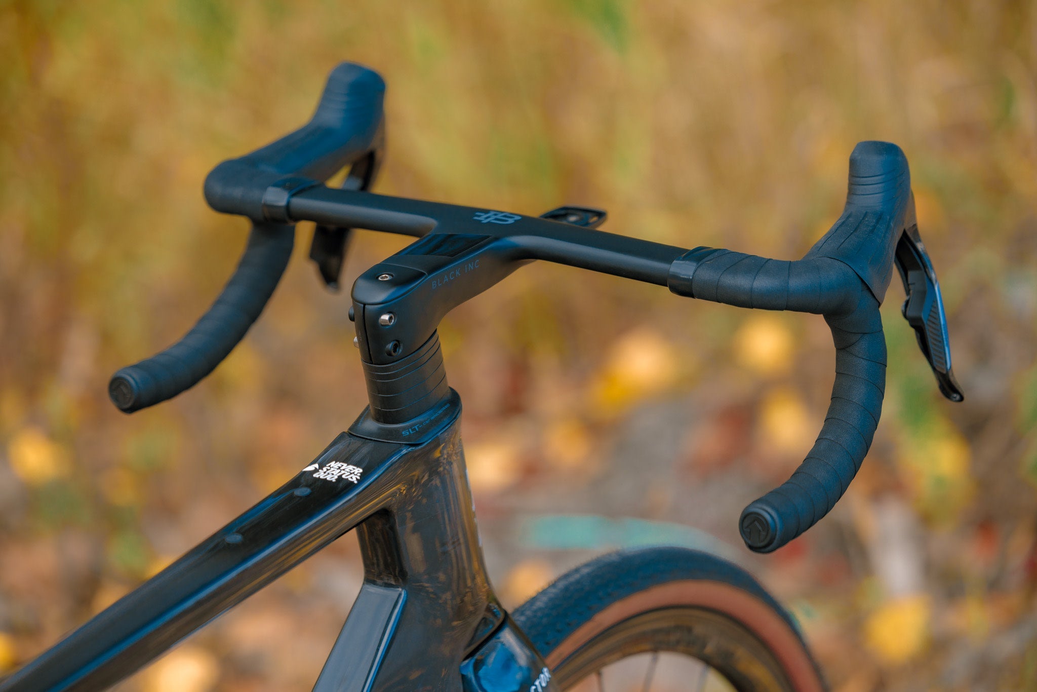 Ostro Gravel, 56cm, custom build