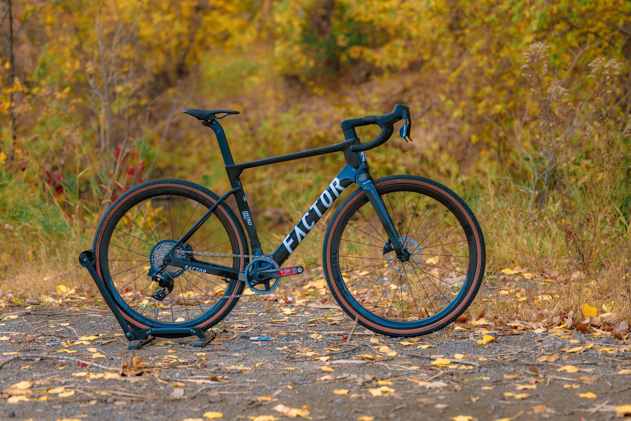 Ostro Gravel, 56cm, custom build