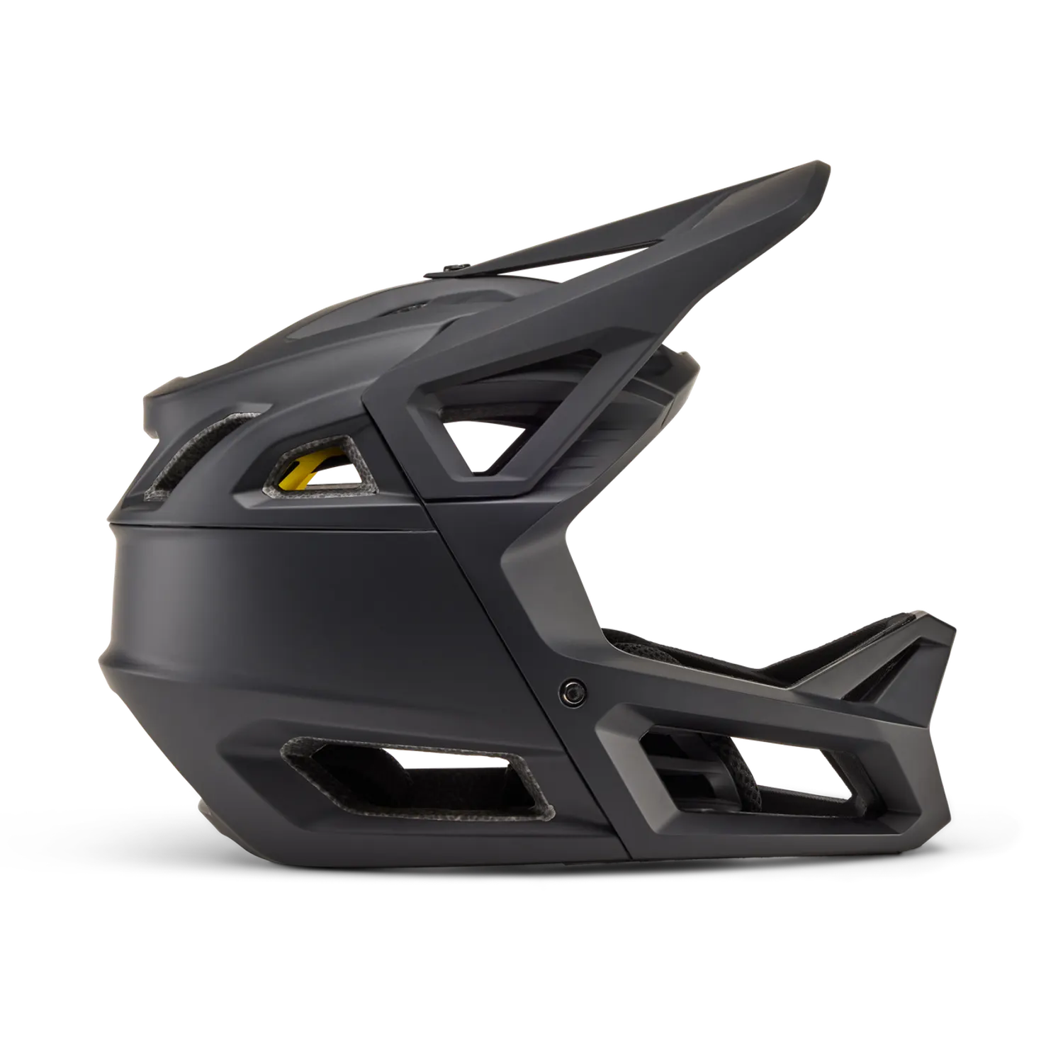 Proframe Helmet