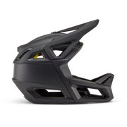 Proframe Helmet
