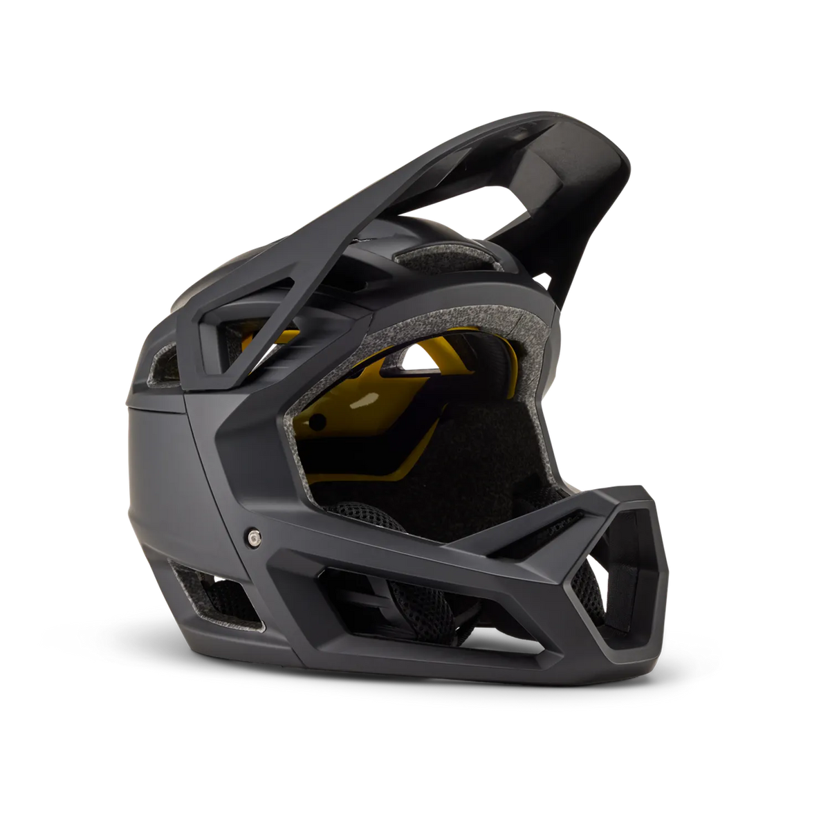Proframe Helmet