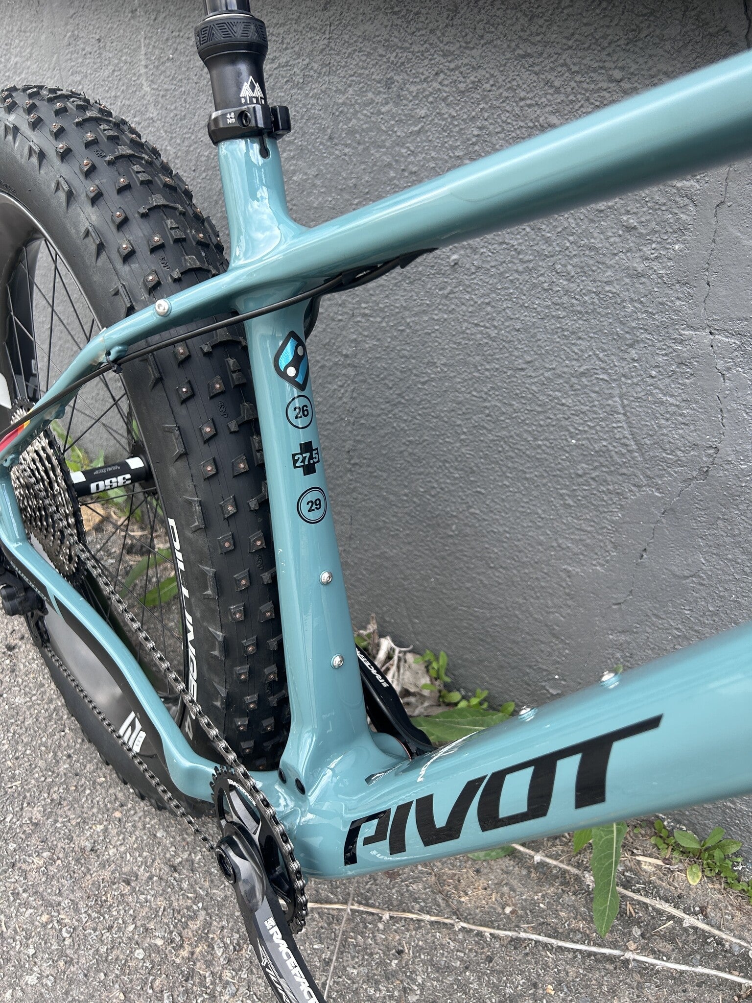 Les Fat, LG, ENVE wheels, XT, usagé